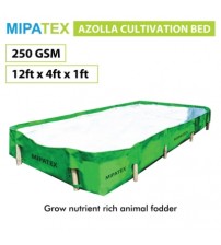 Mipatex HDPE Azolla Cultivation Bed 250 GSM 12ft x 4ft x 1ft (Green)